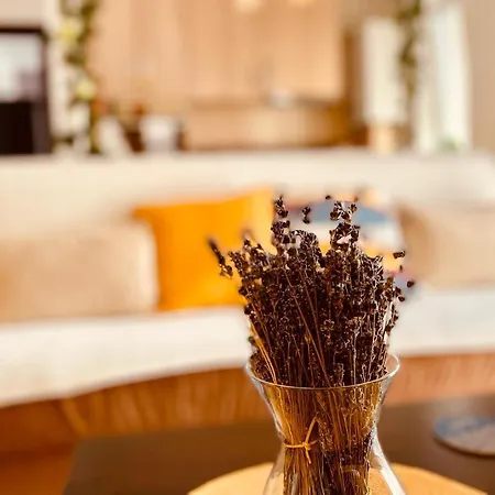 Apartament Sofia Sibiu Extérieur photo