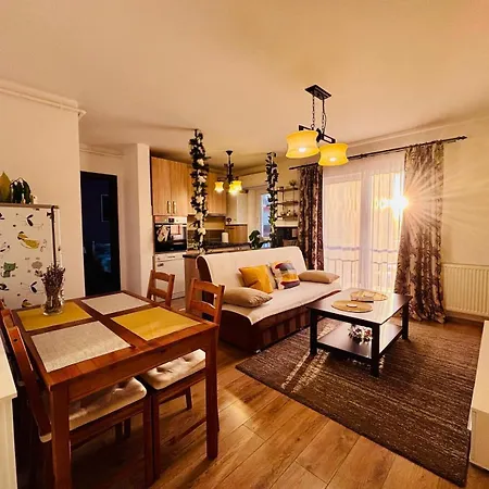 Apartament Sofia Sibiu Extérieur photo